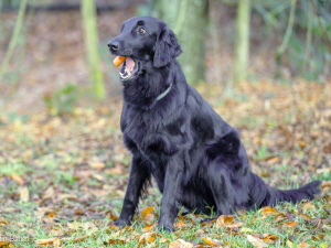 Serene Lake Serene Lake