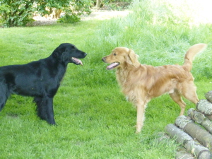 Serene Lake Serene Lake