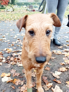 Serene Lake Serene Lake