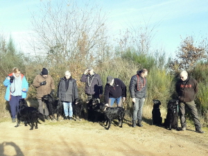 Serene Lake Serene Lake