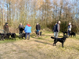 Serene Lake Serene Lake