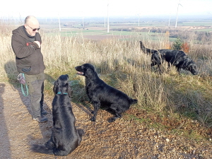 Serene Lake Serene Lake