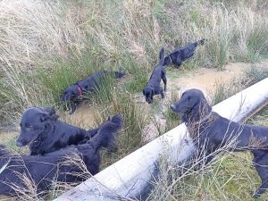 Serene Lake Serene Lake