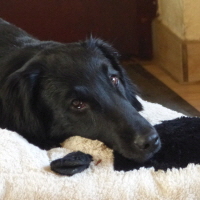 Serene Lake Serene Lake