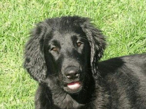 Serene Lake Serene Lake