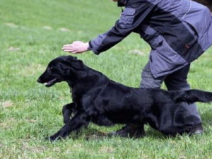 Serene Lake Serene Lake