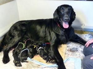 Serene Lake Serene Lake