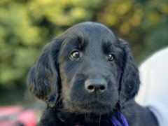 Serene Lake Serene Lake