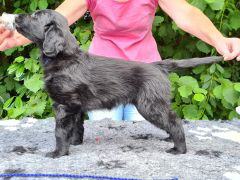 Serene Lake Serene Lake