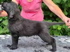 Serene Lake Serene Lake