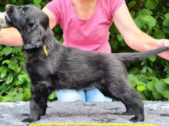 Serene Lake Serene Lake