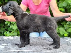 Serene Lake Serene Lake