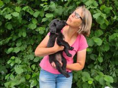 Serene Lake Serene Lake