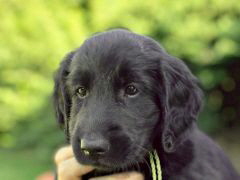 Serene Lake Serene Lake