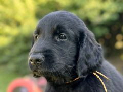 Serene Lake Serene Lake