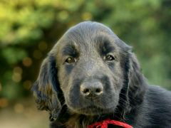Serene Lake Serene Lake