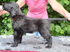 Serene Lake Serene Lake