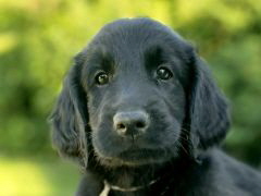 Serene Lake Serene Lake