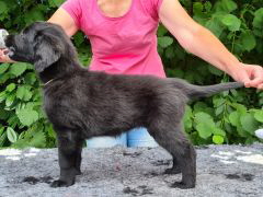 Serene Lake Serene Lake