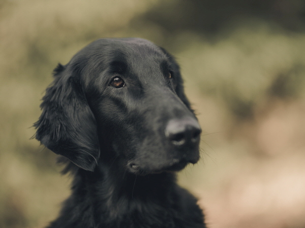 Serene Lake Serene Lake
