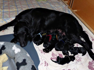 Serene Lake Serene Lake