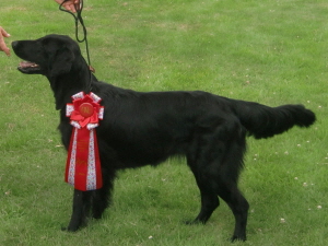 Serene Lake Serene Lake