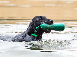 Serene Lake Serene Lake