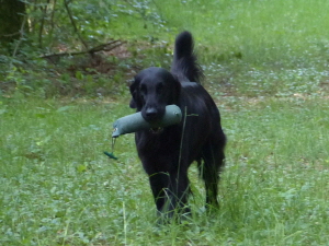 Serene Lake Serene Lake