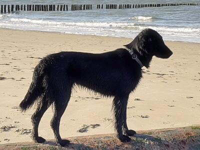 Serene Lake Serene Lake