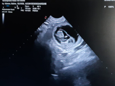 Serene Lake Serene Lake