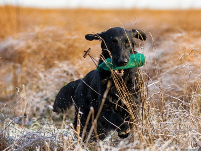 Serene Lake Serene Lake